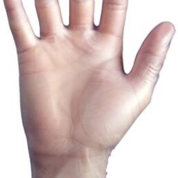 Disposable Vinyl Gloves