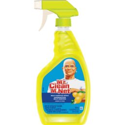 Mr. Clean Multi-Surface Disinfectant Spray