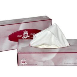 Duraplus Luxury Quality Facial Tissue