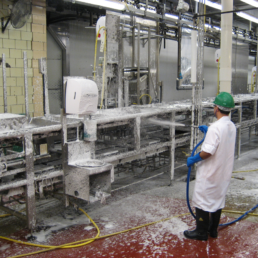 Food Processing