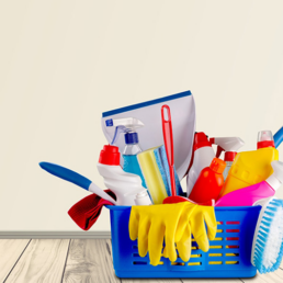 General Cleaning
