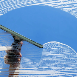 Window & Specialty Surface Cleaners